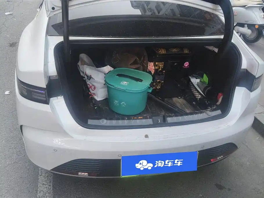 BYD Destroyer 05 2024 Glory Edition DM-i 55KM Luxury фото 4