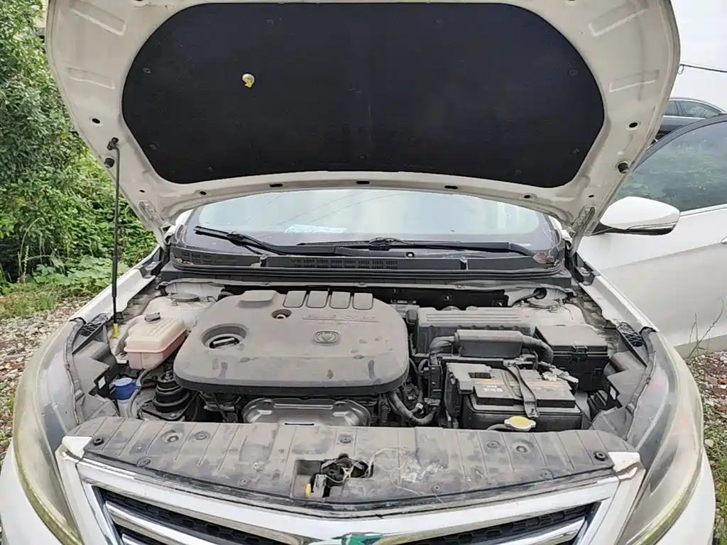 Photo 20 - Changan Eado