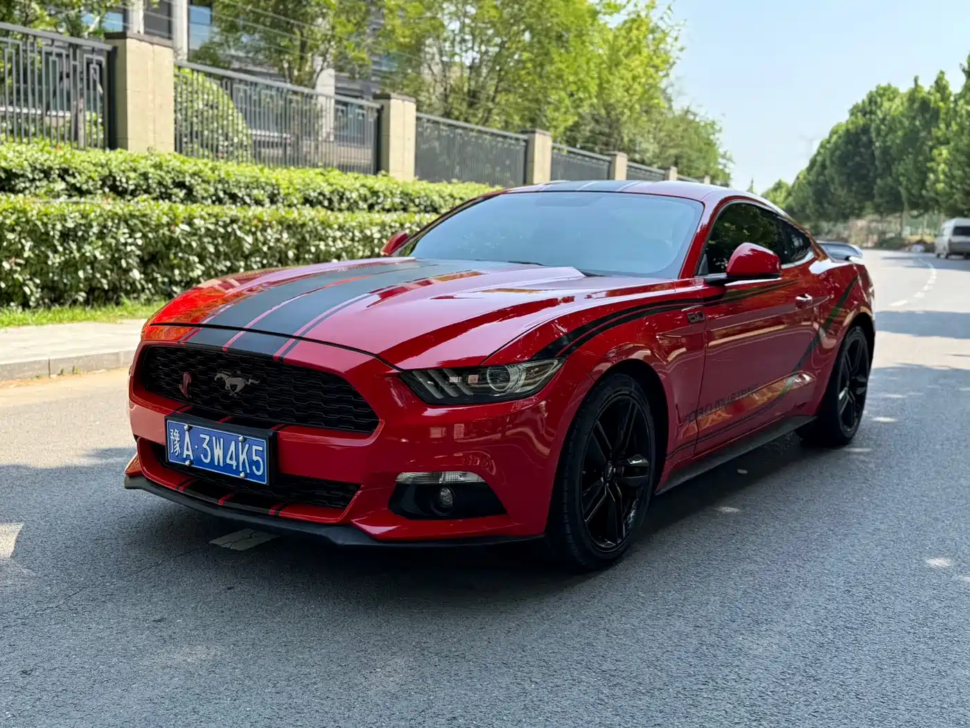 Ford Mustang 2015 2015 2.3T 50th Anniversary Edition