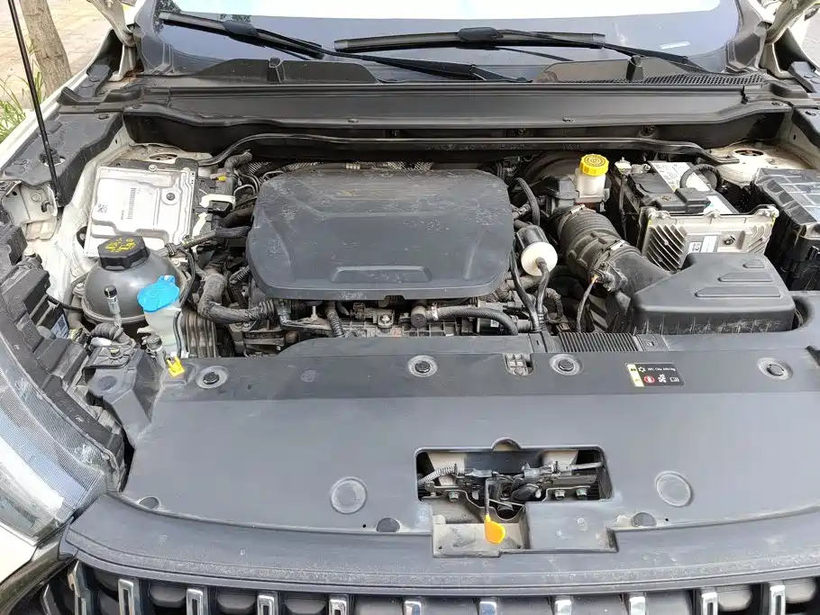 Haval Chitu 2023 2021 Turbo Edition 1.5T Golden Rabbit