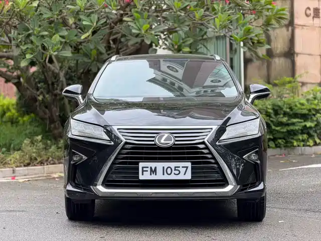 Lexus RX 2016 300 4WD Elegance Edition (China V) — фото 2