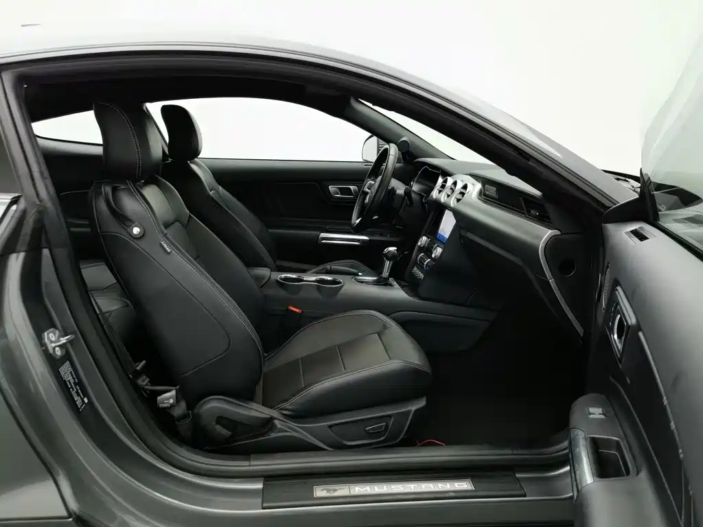 Ford Mustang, миниатюра 23