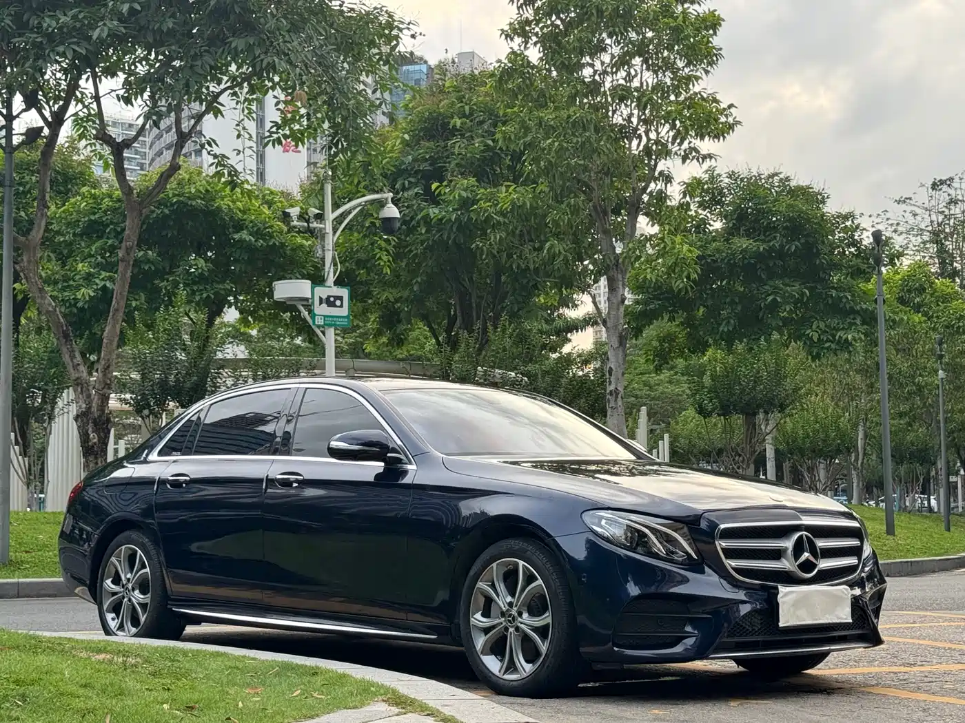 Mercedes-Benz E-Class 2020 E 300 L Sport Luxury Model фото 3