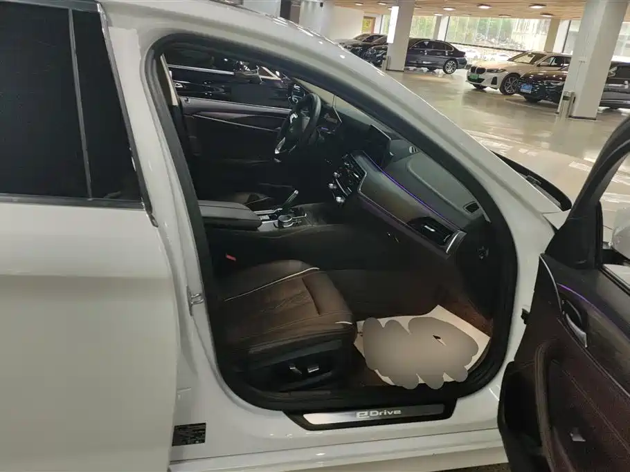 BMW 5 Series New Energy 2019 530Le Luxury Package фото 8