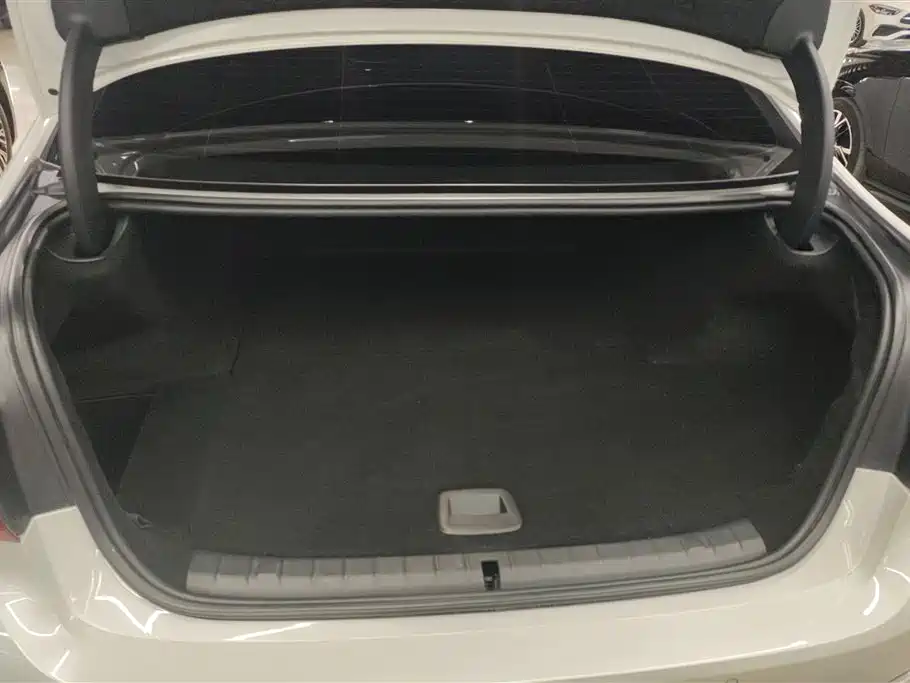 BMW 5 Series New Energy 2019 530Le Luxury Package фото 4