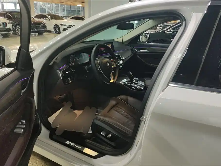 BMW 5 Series New Energy 2019 530Le Luxury Package фото 9
