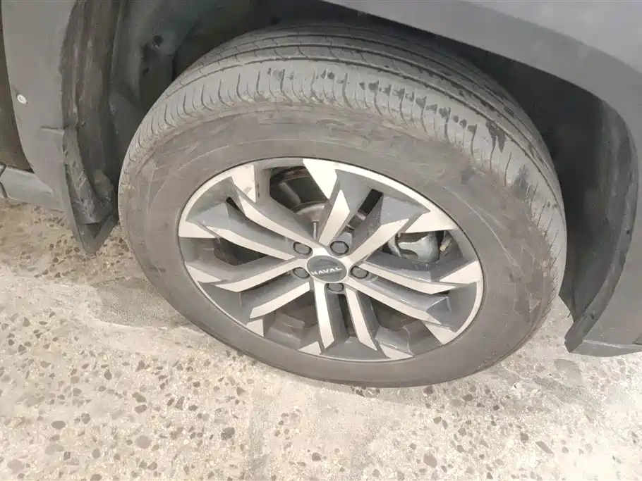 Haval Da Gou 2nd Gen 2023 2.0T AWD Wild Adventure Plus фото 6