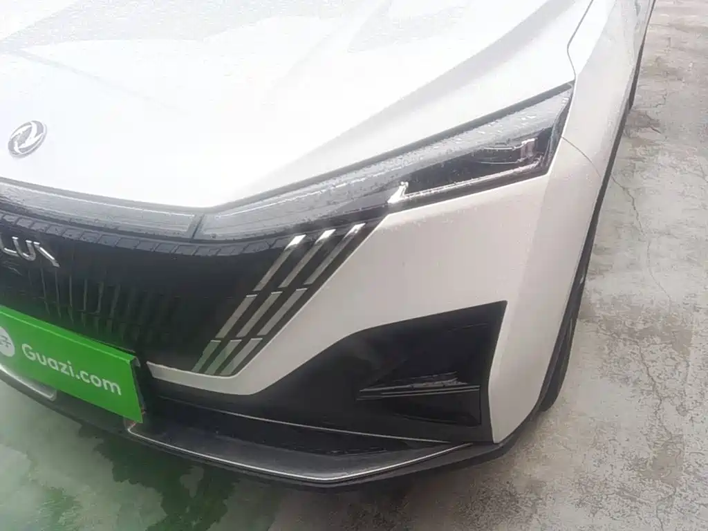 Dongfeng Aeolus Haohan 2024 2023 1.5T Luxury Edition