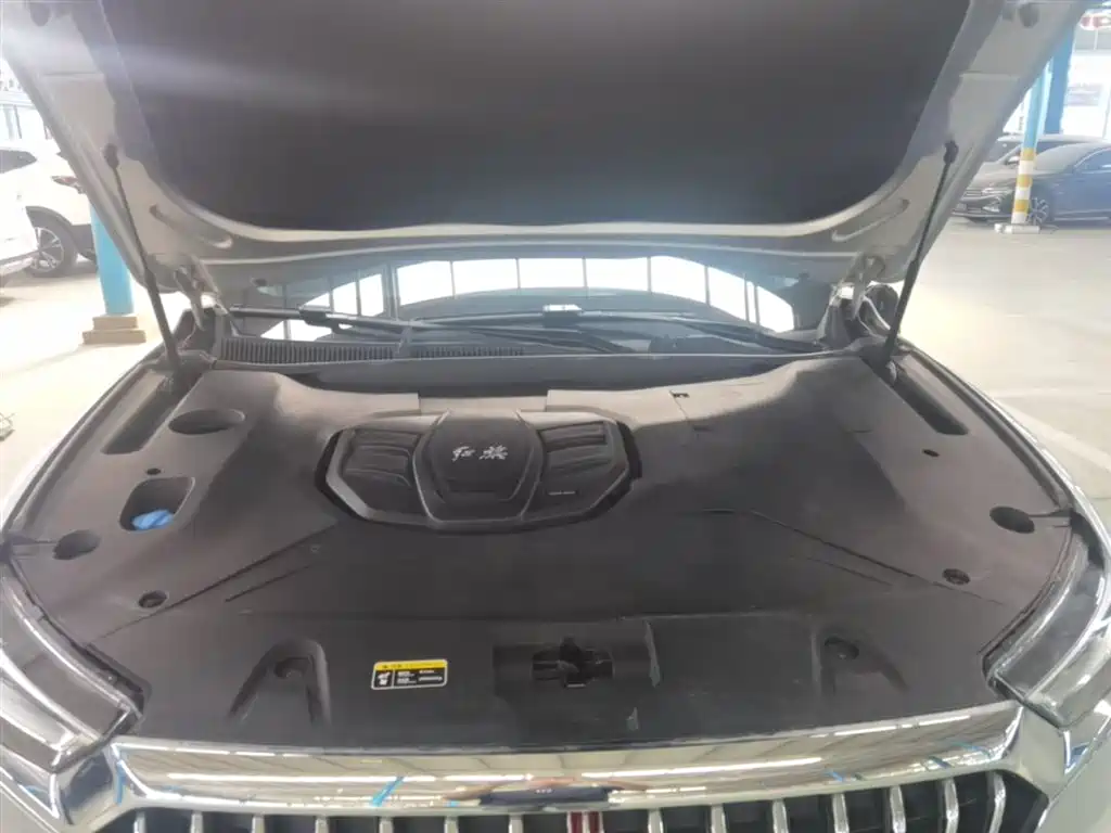 Hongqi HS5 2019 2.0T Smart Connect Enjoy Edition фото 13