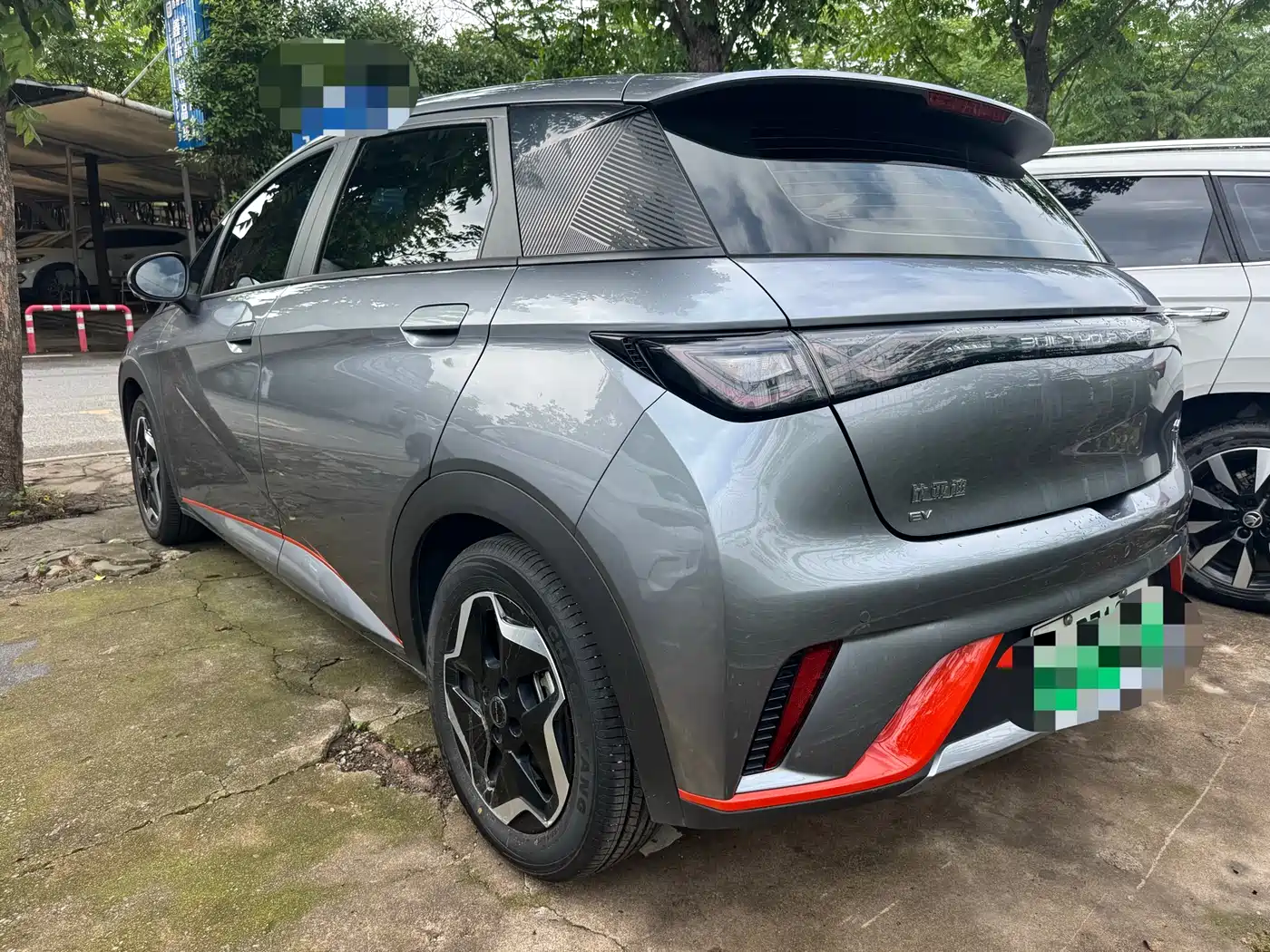BYD Dolphin 2021 Model 405km Fashion Edition фото 12