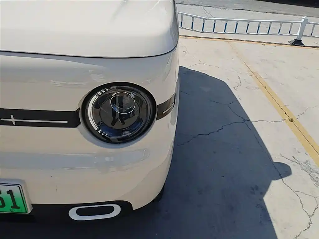 Geely Galaxy Panda 2025 Panda mini 210km Vitality Bear фото 24