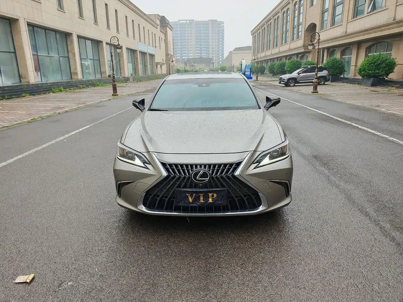 Lexus ES 2022 300h Excellence Edition фото 2