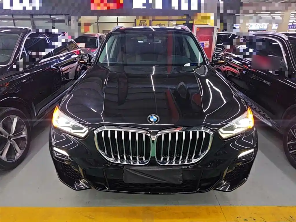 BMW X5 (Import) 2020 xDrive30i M Sport Package фото 3