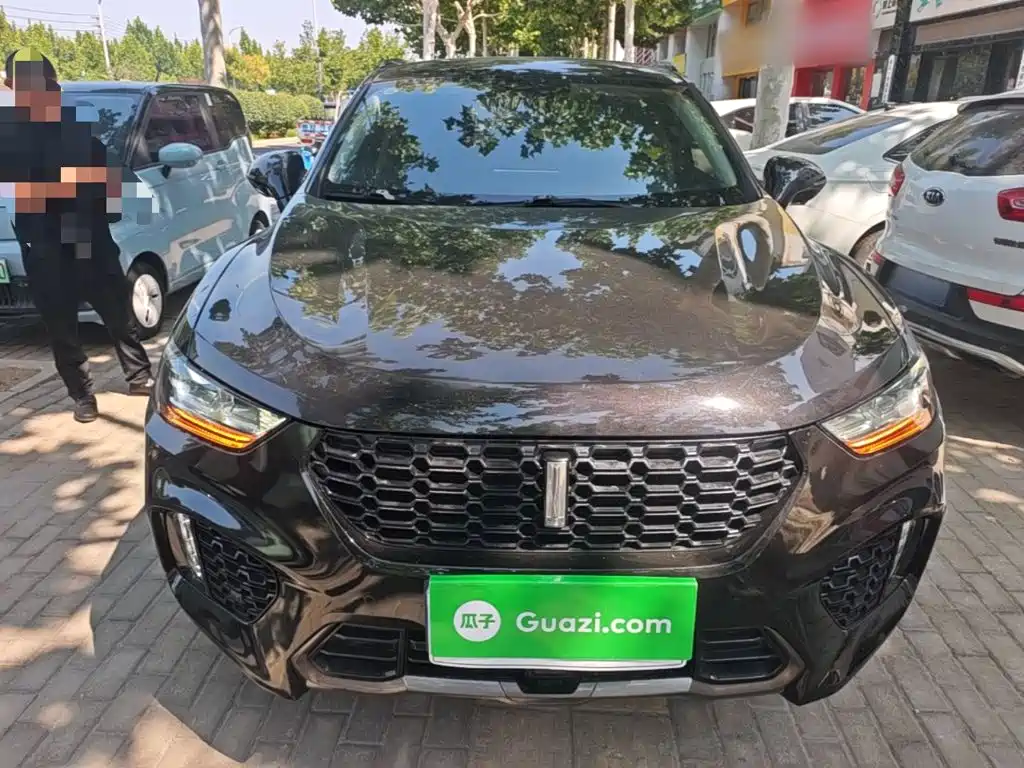 WEY VV5 2017 2017 2.0T Super Luxury Model