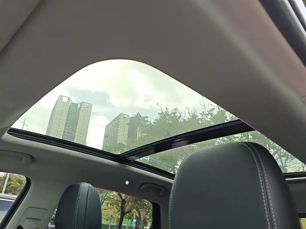 BYD Song Pro New Energy 2019 DM 1.5T 4WD Performance Luxury фото 18