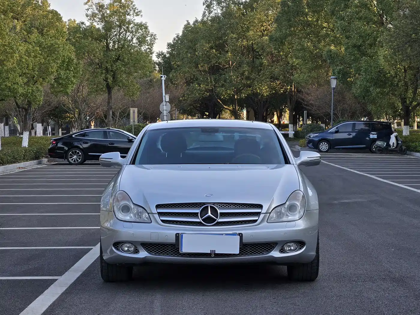 Mercedes-Benz CLS 2009 CLS 300 фото 2