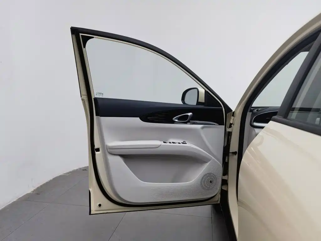 Geely Galaxy Starry Wish 2025 2025 310km Youth Edition