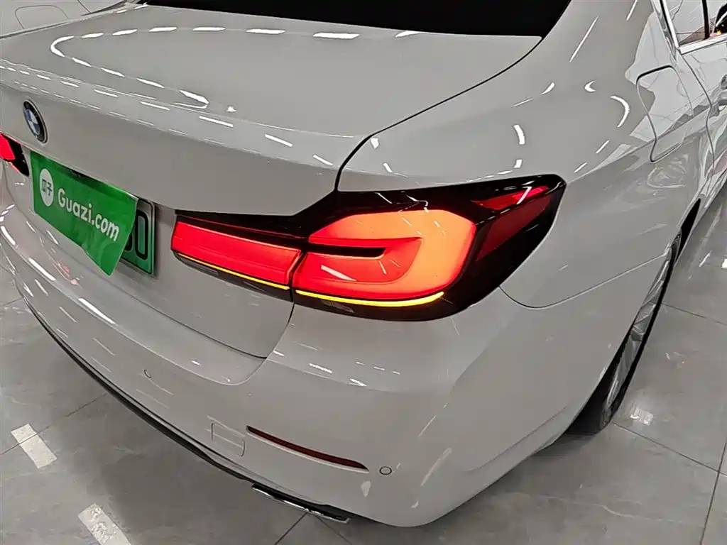 BMW 5 SERIES NEW ENERGY