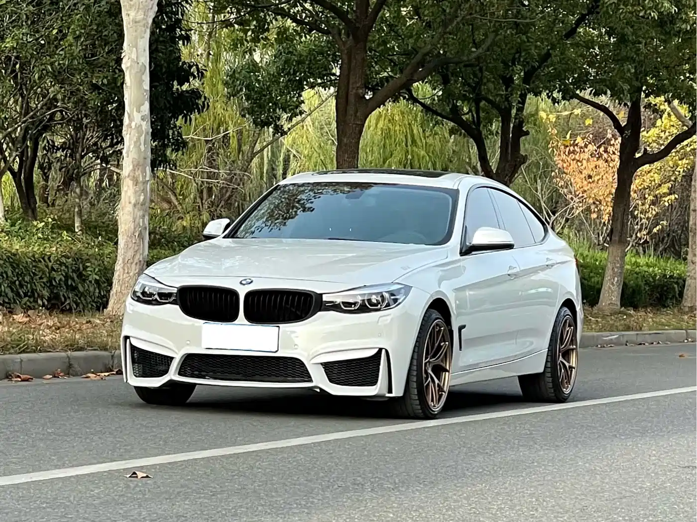 BMW 3 Series GT 2019 320i Fashion Model