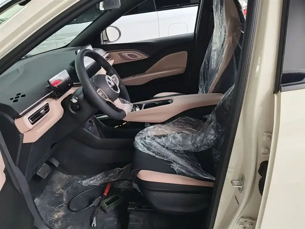 BYD Seagull 2025 Smart Drive Edition 305km Vitality Version фото 15
