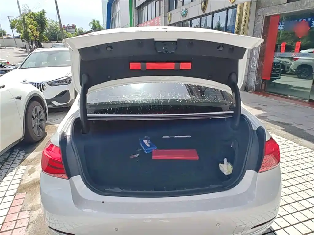 BMW 3 Series 2018 320Li Fashion Style фото 19