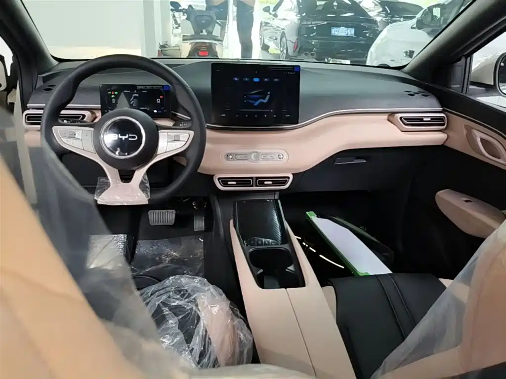 BYD Seagull 2025 Smart Drive Edition 305km Vitality Version фото 10