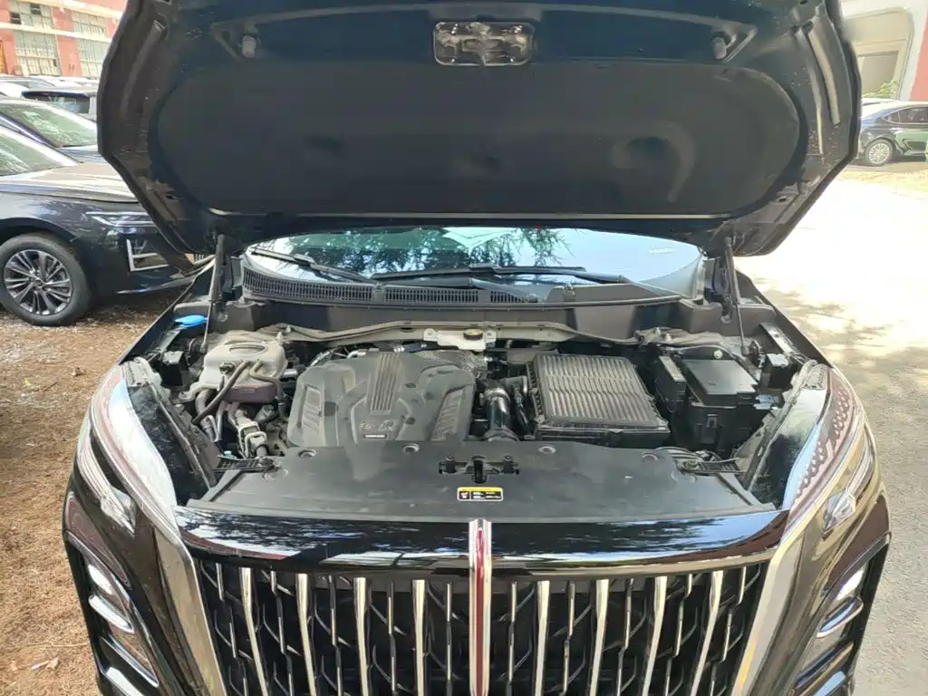 Hongqi HS3 PHEV 2025 2024 PHEV 115km Power Edition