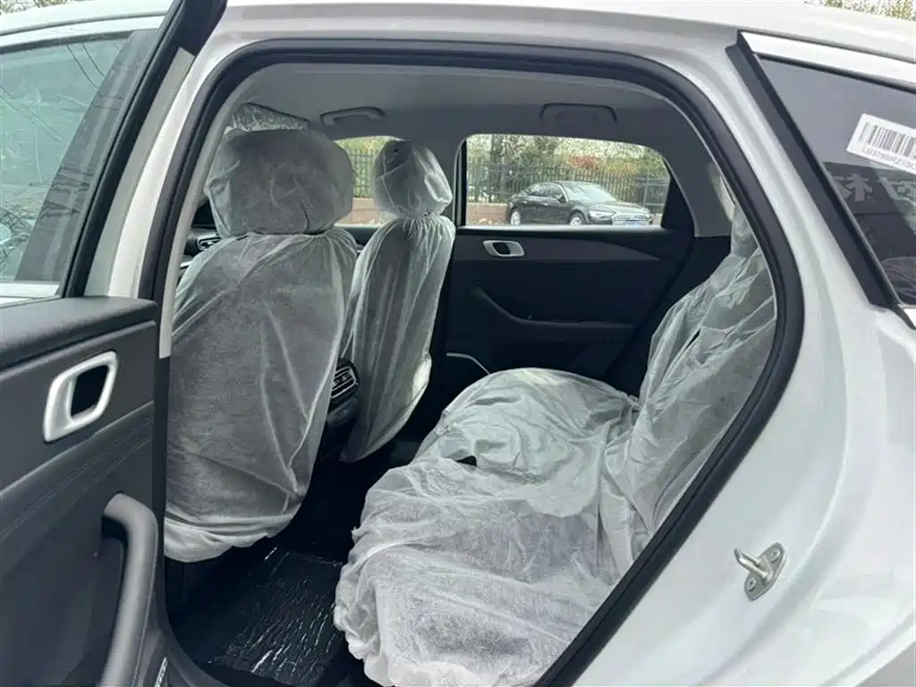 Geely Galaxy Galaxy Stellar 6 2025 Model 125km Free Edition фото 4