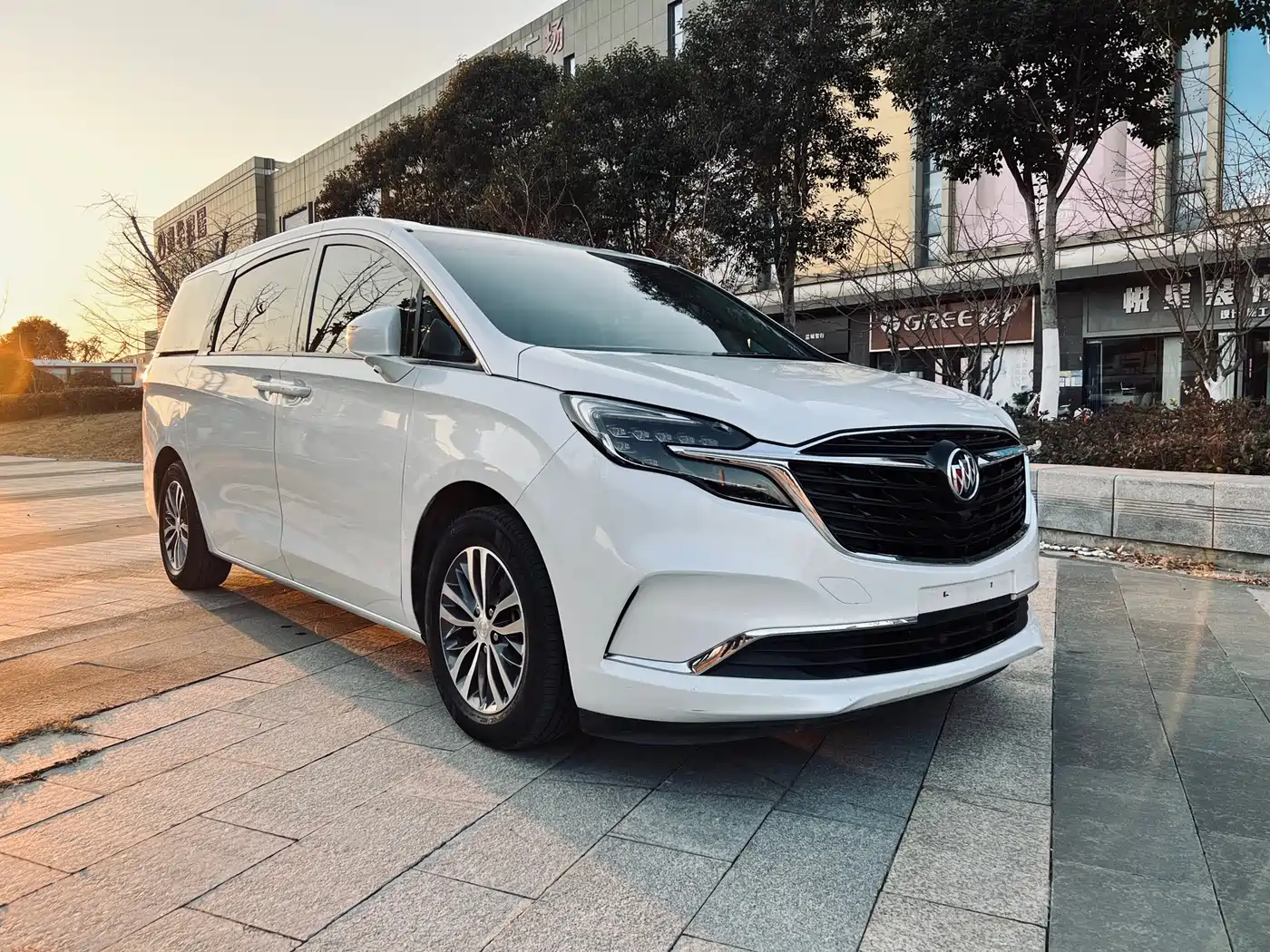 Buick GL8 2021 ES Landlord 653T Comfort фото 4