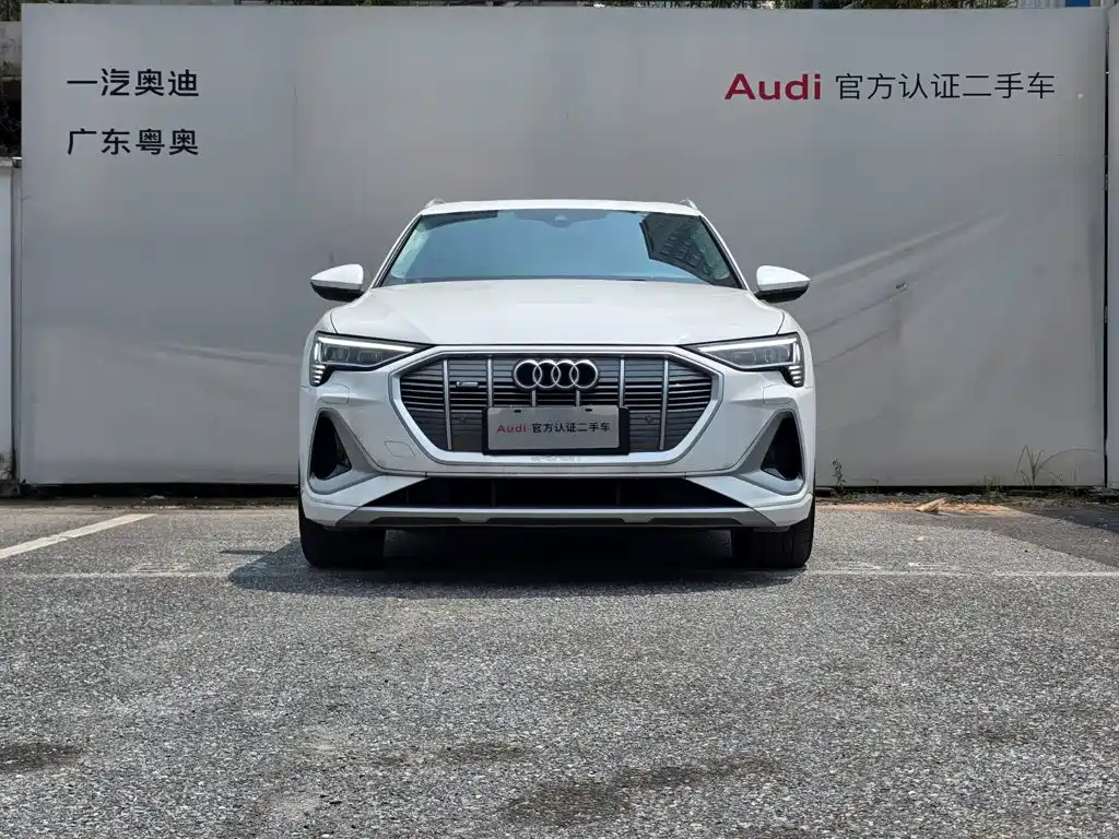 Audi e-tron 2023 2021 50 quattro Luxury
