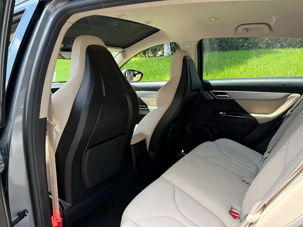XPeng G3 2019 2020 520 Smart Edition