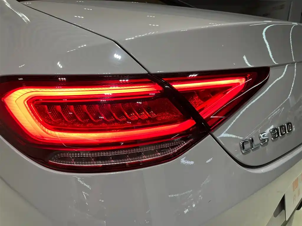 Mercedes-Benz CLS 2020 CLS 300 Luxury фото 7