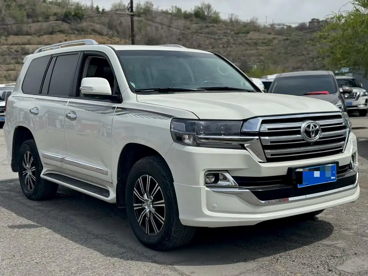 Toyota Land Cruiser (Import) фото 3
