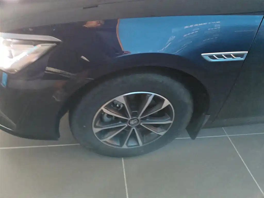 BYD Qin PLUS 2023 Champion Edition DM-i 55KM Leading фото 23