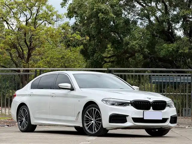 BMW 5 Series 2020 530Li Exclusive M Sport Package — фото 3