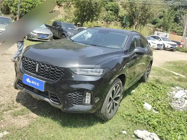 WEI PAI WEI BRAND VV7