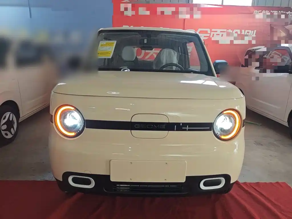 Geely Galaxy Panda 2026 2025 Panda mini 210km Vitality Bear