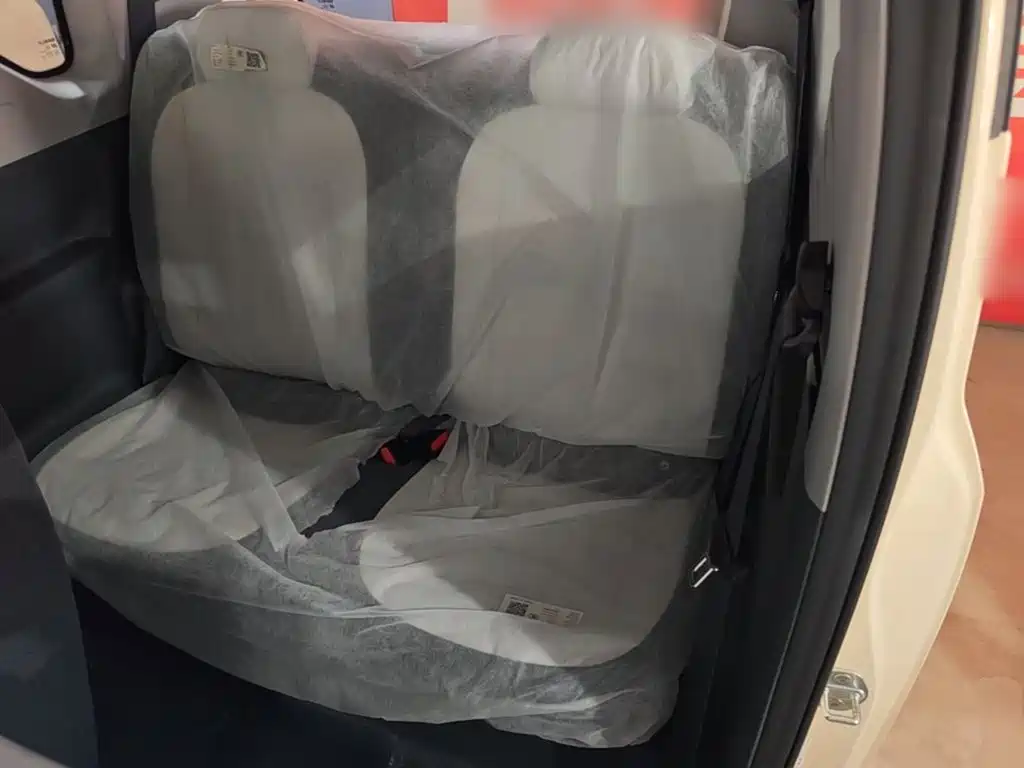 Geely Galaxy Panda 2026 2025 Panda mini 210km Vitality Bear