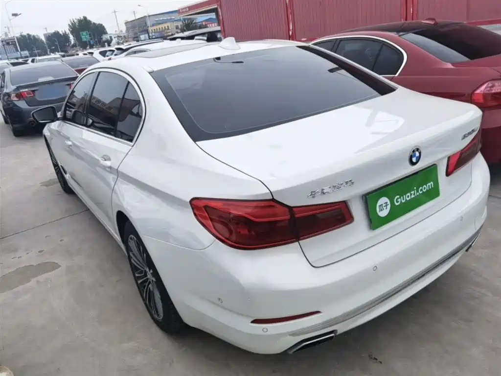 BMW 5 Series 2019 530Li Premium Luxury Package фото 5