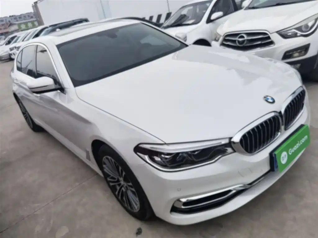 BMW 5 Series 2019 530Li Premium Luxury Package фото 4