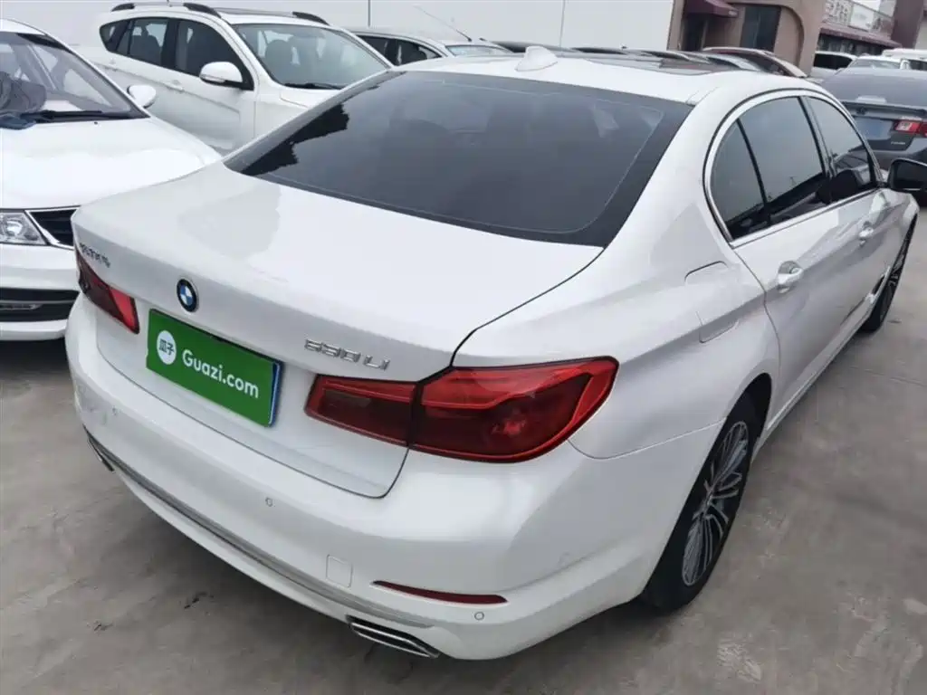 BMW 5 Series 2019 530Li Premium Luxury Package фото 7