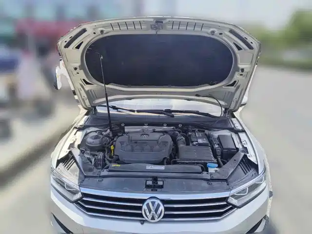 Volkswagen Magotan 2019 330TSI DSG Leading China V — фото 3