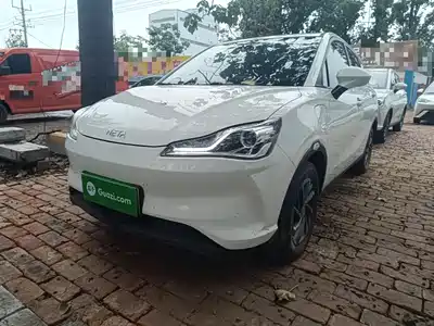 Neta V