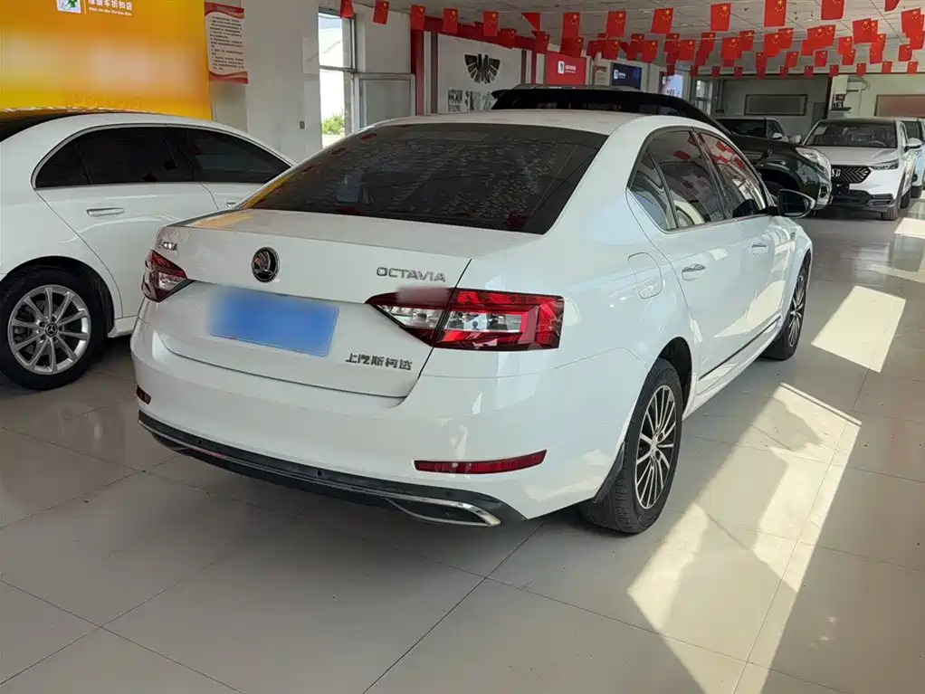 Škoda Octavia 2018 TSI230 DSG Luxury Edition фото 5