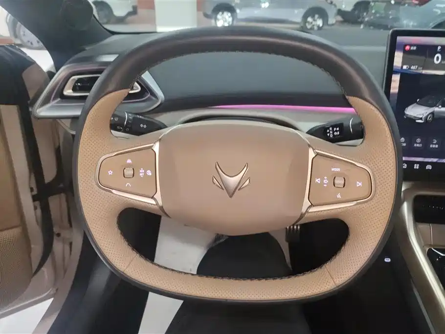 ARCFOX EXTREME FOX POLAR FOX ALPHA S5