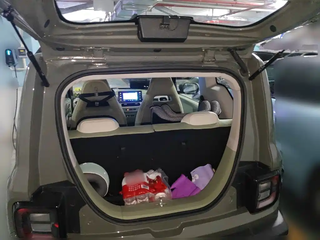 Фото 20 - Geely Galaxy Panda
