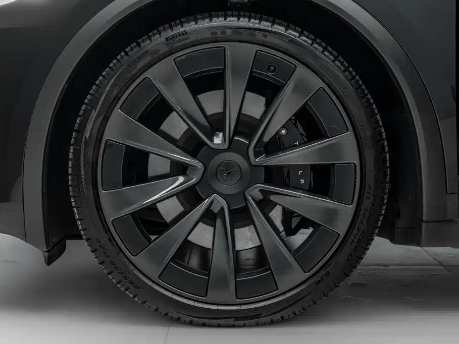 Фото 36 - Tesla Model X