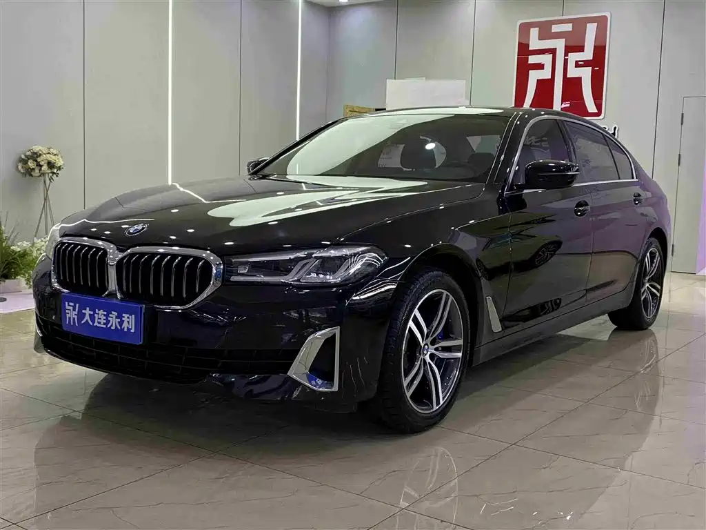 BMW 5 Series 2021 530Li Leading Luxury Package