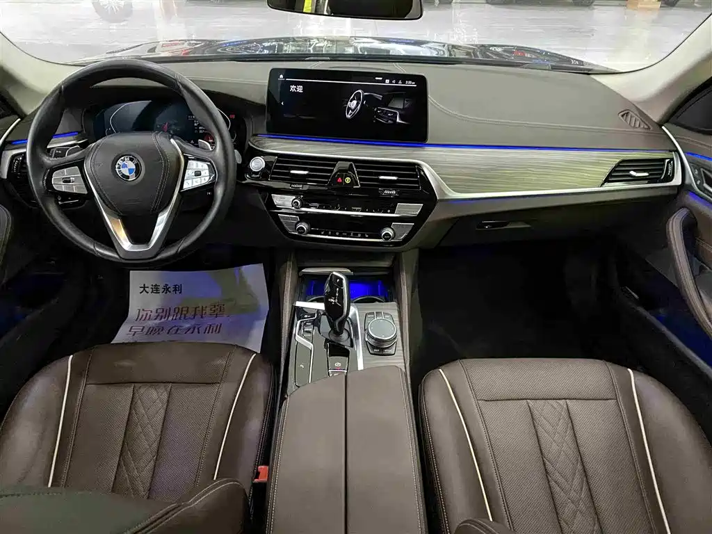 BMW 5 Series 2021 530Li Leading Luxury Package фото 8