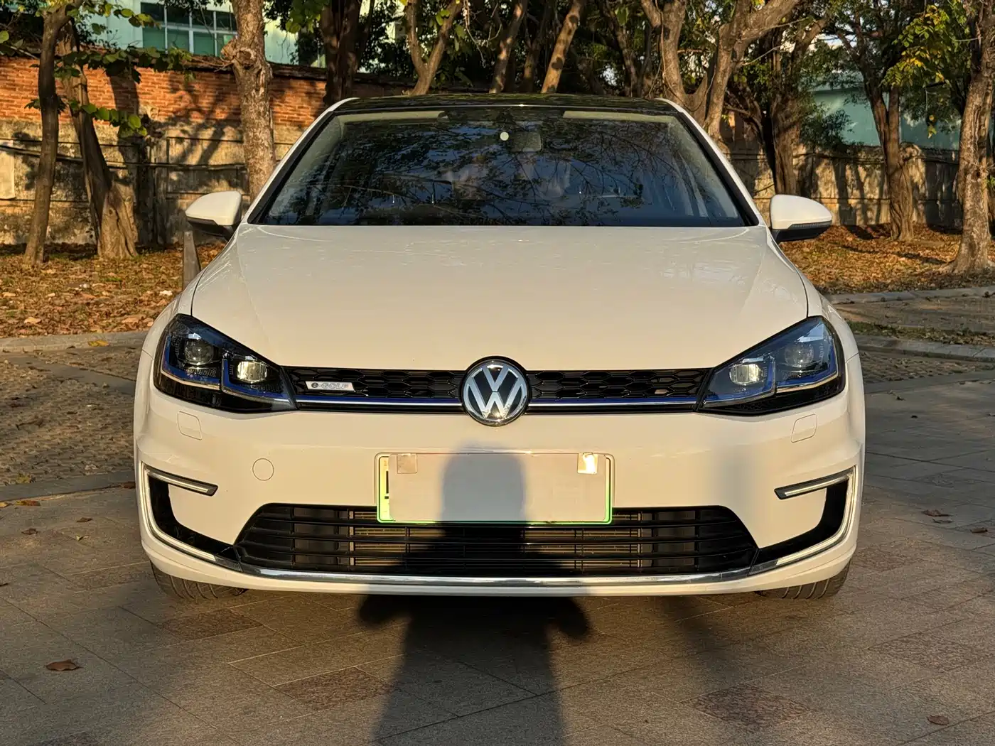VOLKSWAGEN GOLF*PURE ELECTRICITY